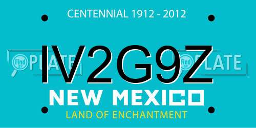 IV2G9Z New Mexico License Plate