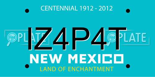 IZ4P4T New Mexico License Plate