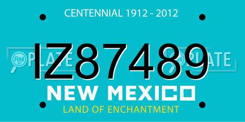 IZ87489 New Mexico License Plate