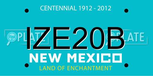 IZE20B New Mexico License Plate
