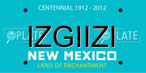 IZGIIZI New Mexico License Plate