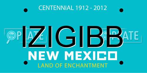 IZIGIBB New Mexico License Plate