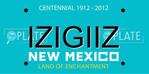 IZIGIIZ New Mexico License Plate