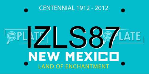 IZLS87 New Mexico License Plate