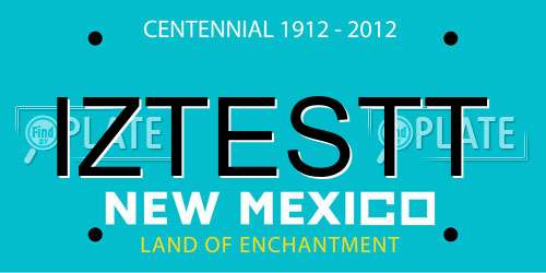 IZTESTT New Mexico License Plate