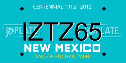 IZTZ65 New Mexico License Plate
