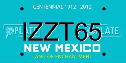 IZZT65 New Mexico License Plate
