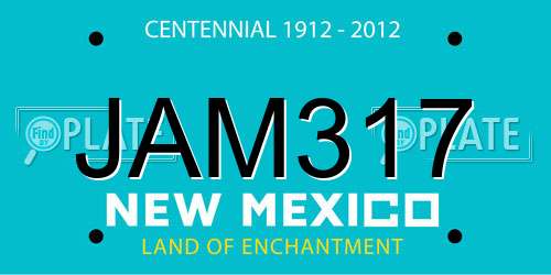 JAM317 New Mexico License Plate