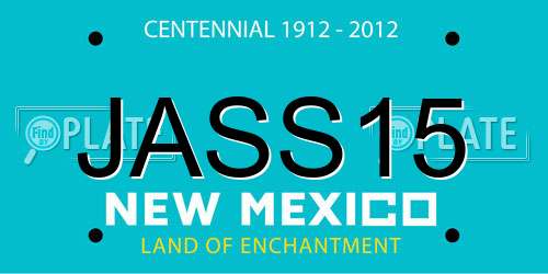 JASS15 New Mexico License Plate
