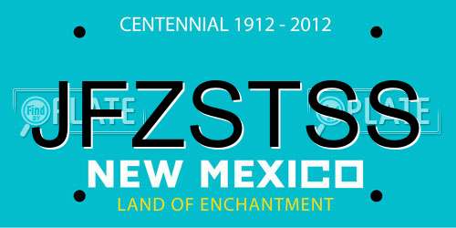 JFZSTSS New Mexico License Plate
