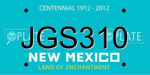 JGS310 New Mexico License Plate