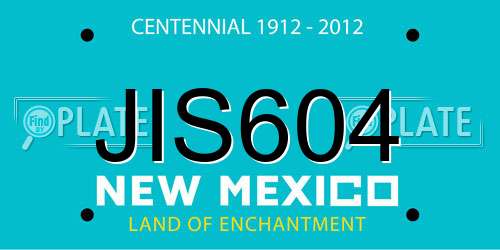 JIS604 New Mexico License Plate