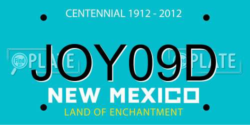 JOY09D New Mexico License Plate