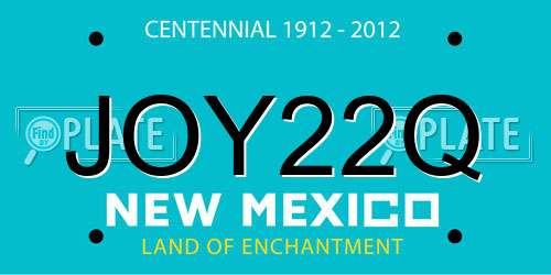 JOY22Q New Mexico License Plate