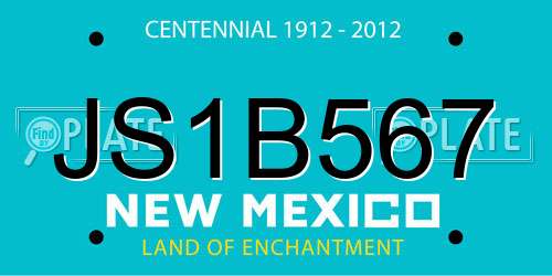 JS1B567 New Mexico License Plate