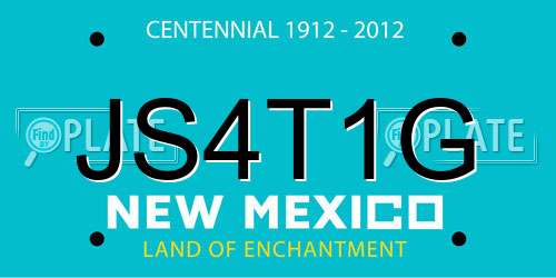 JS4T1G New Mexico License Plate