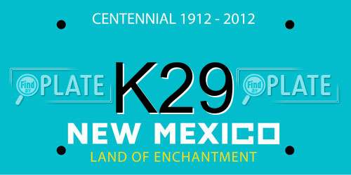 K29 New Mexico License Plate