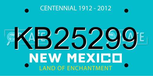 KB25299 New Mexico License Plate