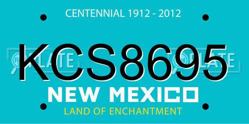 KCS8695 New Mexico License Plate