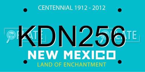 KDN256 New Mexico License Plate