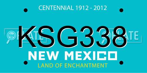 KSG338 New Mexico License Plate