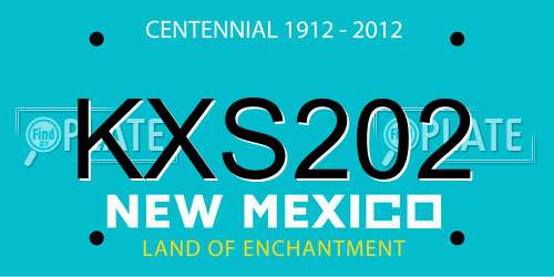 KXS202 New Mexico License Plate