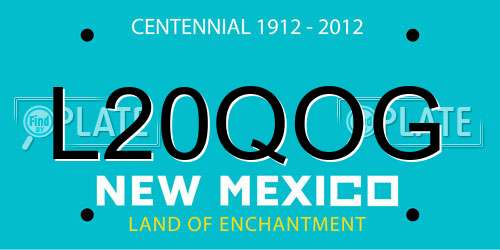 L20QOG New Mexico License Plate