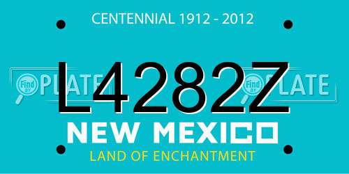 L4282Z New Mexico License Plate