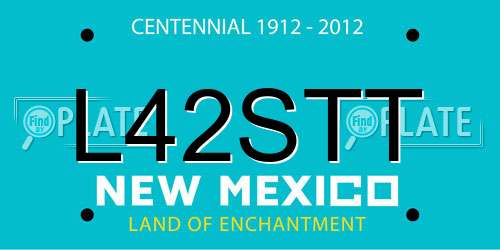 L42STT New Mexico License Plate