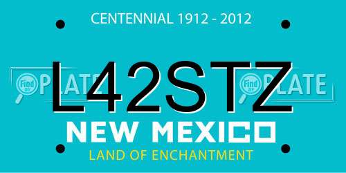 L42STZ New Mexico License Plate
