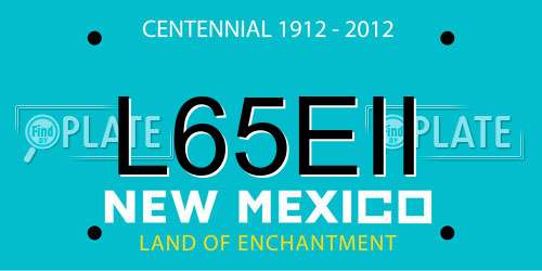 L65EII New Mexico License Plate
