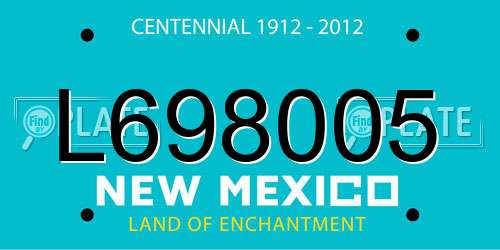 L698005 New Mexico License Plate