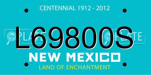 L69800S New Mexico License Plate