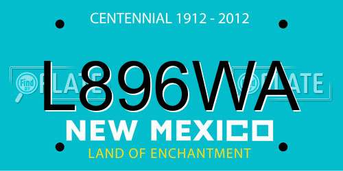 L896WA New Mexico License Plate