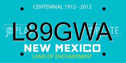 L89GWA New Mexico License Plate