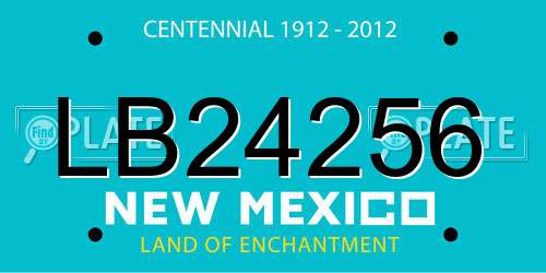 LB24256 New Mexico License Plate
