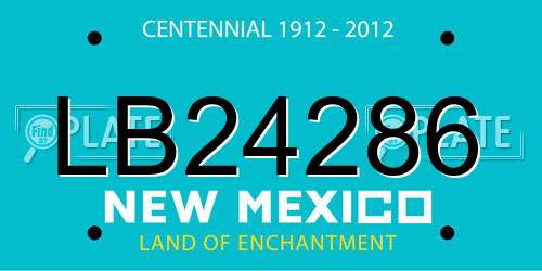 LB24286 New Mexico License Plate