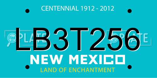 LB3T256 New Mexico License Plate