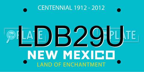 LDB29U New Mexico License Plate
