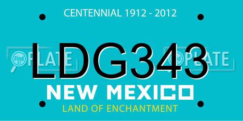 LDG343 New Mexico License Plate