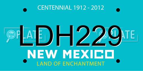 LDH229 New Mexico License Plate