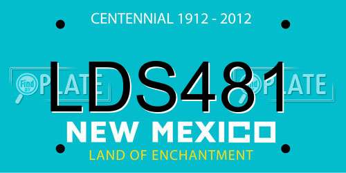 LDS481 New Mexico License Plate