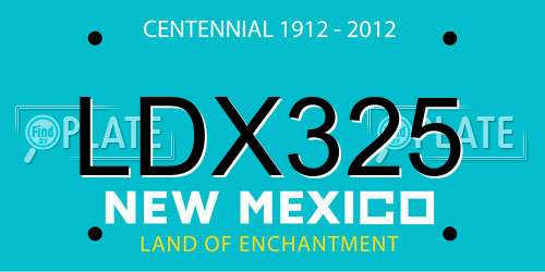 LDX325 New Mexico License Plate
