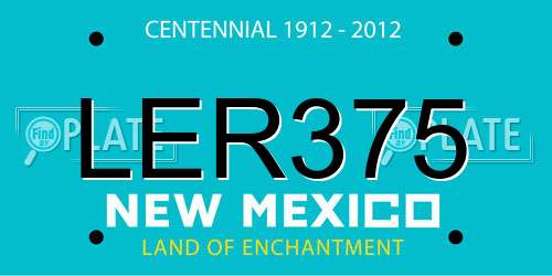LER375 New Mexico License Plate