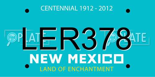 LER378 New Mexico License Plate