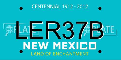 LER37B New Mexico License Plate