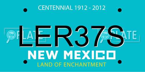 LER37S New Mexico License Plate