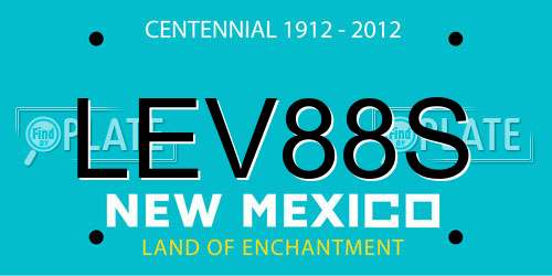 LEV88S New Mexico License Plate