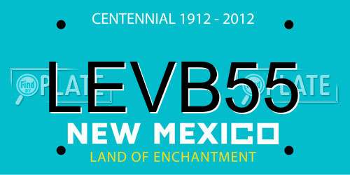 LEVB55 New Mexico License Plate
