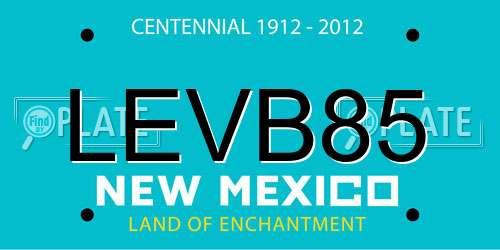 LEVB85 New Mexico License Plate